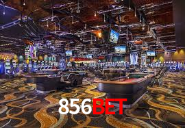 Programa VIP 856bet
