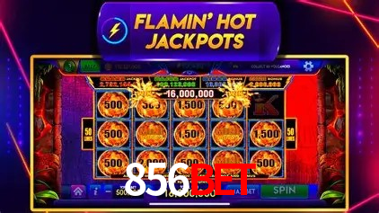 Ofertas Exclusivas 856bet